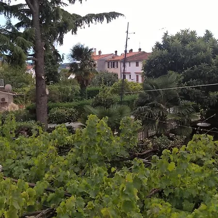 Near Beach - Butiga
